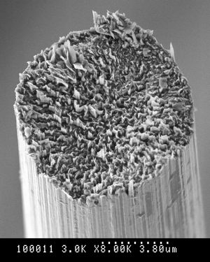 Microscope Image of Cross Section of Carbonfiber